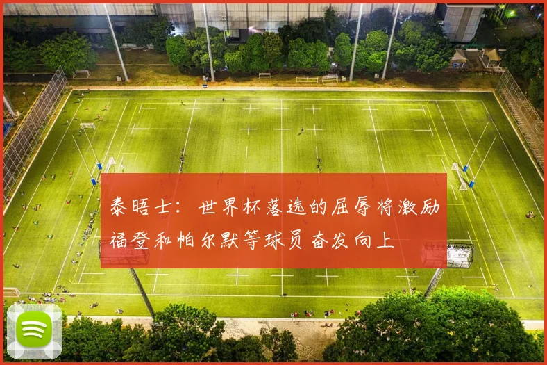 泰晤士：世界杯落选的屈辱将激励福登和帕尔默等球员奋发向上